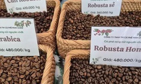 Giá cà phê hôm nay 18-3: Arabica – Robusta đồng loạt tăng, tín hiệu đảo chiều rõ nét