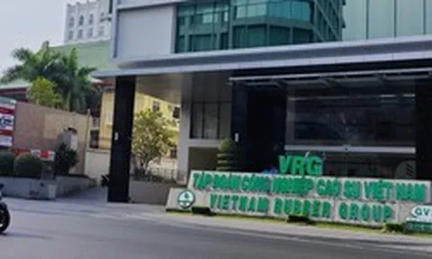 Vụ án tại VRG: Triệu tập 93 doanh nghiệp, ngân hàng, cá nhân liên quan