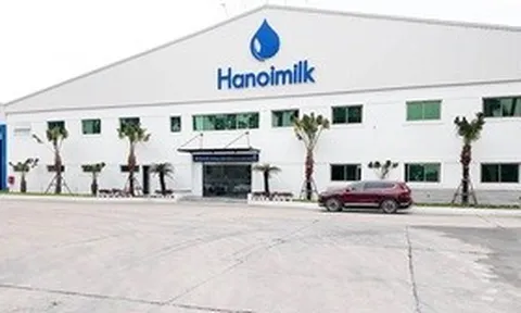 Cổ phiếu Hanoimilk liên tục “chuyền tay” nội bộ