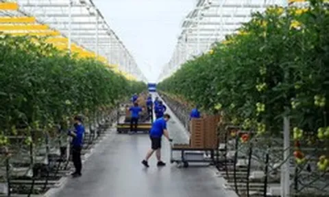 Cú rơi của những 'kỳ lân xanh': Phá sản dù từng huy động hàng trăm triệu USD, số công ty sống sót chỉ còn phân nửa