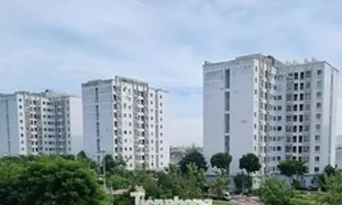 Đà Nẵng dự kiến cho thuê nhà ở xã hội thấp nhất gần 54.000 đồng/m²/tháng