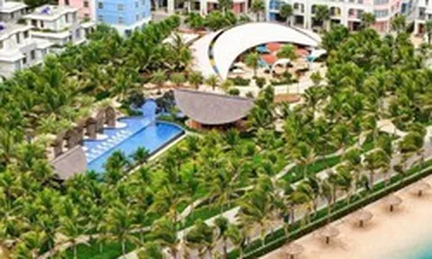 Phan Thiết đón loạt tin vui đầu năm: Nhiều dự án hạ tầng trọng điểm cùng lúc khởi động