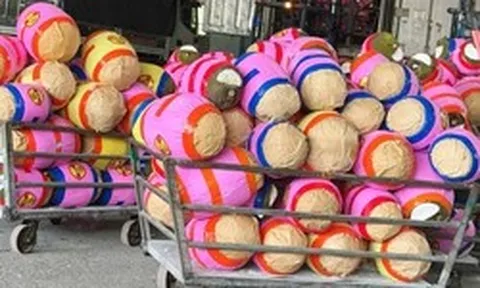 Mít không xuất khẩu được quay đầu bán lẻ, giá rẻ chưa từng có