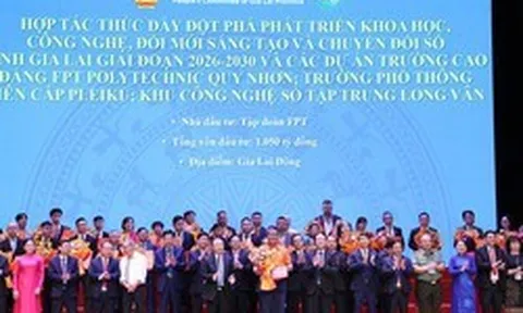 FPT đề xuất cùng Gia Lai xây dựng trung tâm AI, đầu tư hạ tầng công nghệ và giáo dục