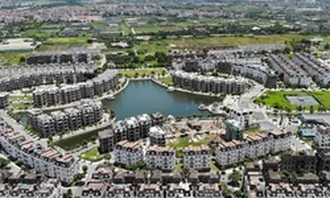 Một doanh nghiệp bất động sản xác định năm 2026 "trắng" doanh thu từ bất động sản, chuyển hướng sang một "mỏ vàng" khác