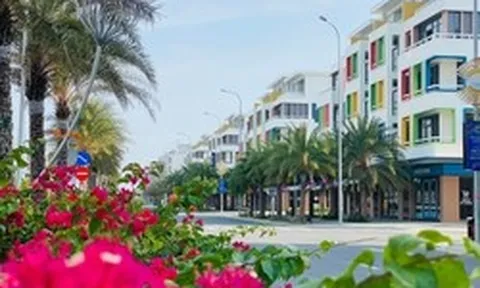 Các 'huyền thoại' ngành sản xuất của Việt Nam như Hòa Phát, Tân Á Đại Thành, Bitis, KIDO đang làm bất động sản ra sao?