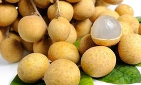 Loại quả bán đầy chợ Việt giá 15.000 đồng: Sang châu Âu hóa 'hàng hiệu' 600.000 đồng/kg, thu chục triệu USD