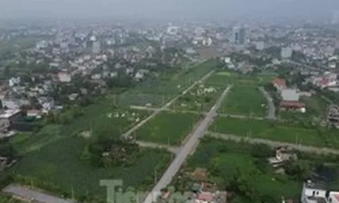 Hà Nội thu hồi lô đất dự án hơn 10.000 m² không triển khai nhiều năm