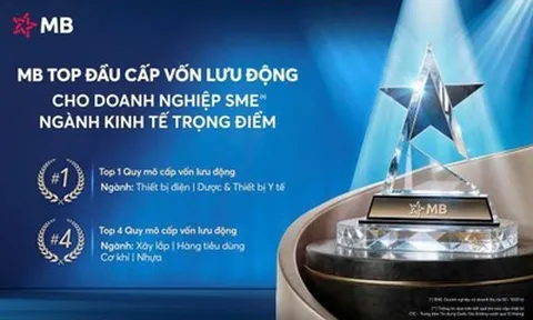 MB – Ngân hàng  top đầu Cấp vốn lưu động cho doanh nghiệp SME thuộc ngành kinh tế trọng điểm