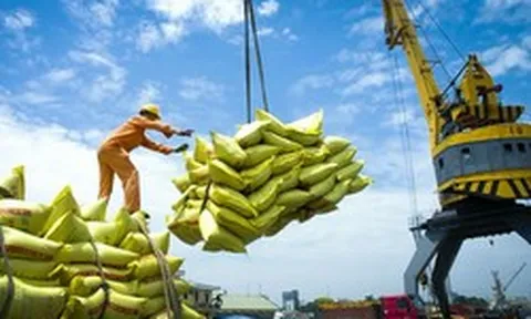 Giá gạo xuất khẩu tăng