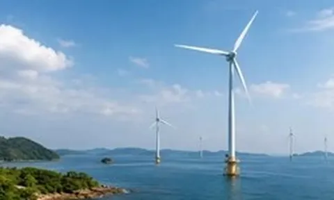 Quảng Ninh muốn làm nhà máy điện gió trên biển đầu tiên