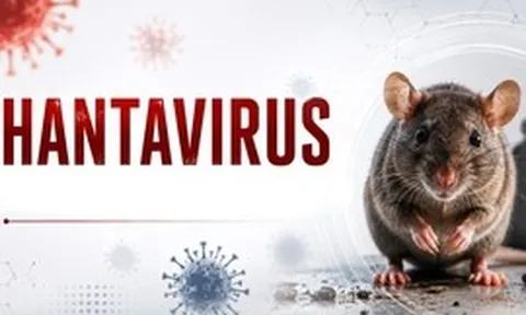 Bộ Y tế thông tin về xét nghiệm virus Hanta