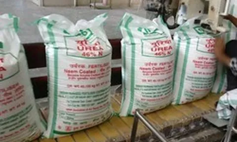 Nhận tin tình báo rồi đột kích một ngôi nhà, công an phát hiện đường dây sản xuất phân bón giả, tịch thu hơn 32 tấn sản phẩm
