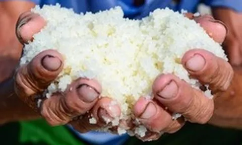 Diêm dân "rang mình" dưới nắng 40 độ, đổi lấy hơn 200 nghìn đồng mỗi ngày