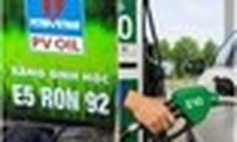 Xăng E5 và E10 khác nhau như thế nào?