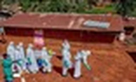 Dịch Ebola lây lan với tốc độ "chưa từng có": Ghi nhận 250 người tử vong, hơn 1.000 ca bệnh tại khu vực Trung Phi