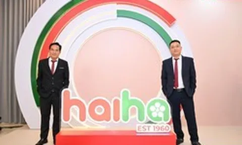 Hải Hà và chiến lược đổi mới toàn diện năm 2026