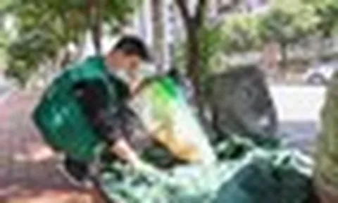 Phát hiện 1 chuyên viên phân tích tài chính bỏ việc kiếm hơn 77 triệu đồng/tháng nhờ thu mua phế liệu
