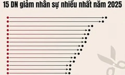 Lộ diện những 'ông lớn' giảm nhân sự nhiều nhất năm 2025: Nhóm ngân hàng áp đảo, Golden Gate, Viettel Post, Hòa Phát... giảm hàng nghìn người