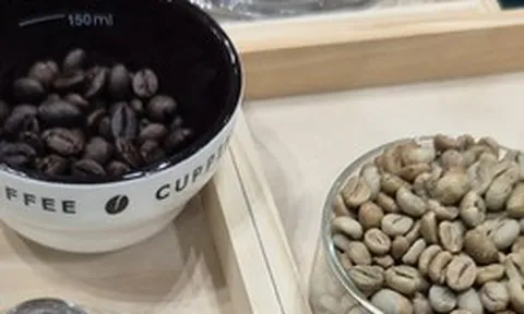 Giá cà phê hôm nay 17-6: Arabica bùng nổ, Robusta nối dài chuỗi tăng