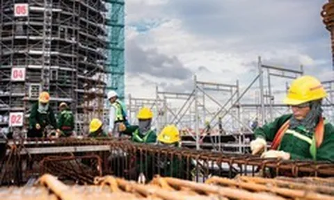 Một doanh nghiệp Việt tăng 91 bậc trên Fortune Southeast Asia 500 sau ba năm