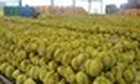 Thái Lan bất ngờ tìm được cứu tinh cho sầu riêng: Doanh số tăng gấp 10 lần chỉ trong 3 tháng, đơn hàng trái cây tăng 134%