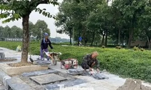 Chính quyền nói gì về việc 'vỉa hè vừa thay áo mới đã tiếp tục đào lên thi công cống thoát nước'?