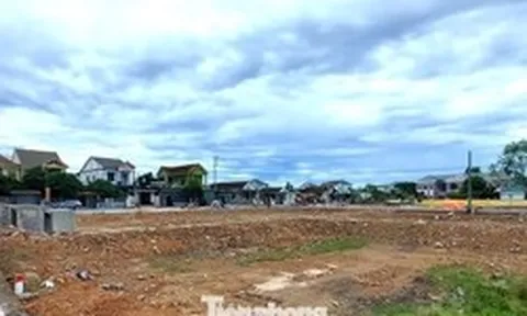 Đất đấu giá vùng quê cao gấp hơn 4 lần khởi điểm, nhiều lô rao bán chênh tiền tỷ
