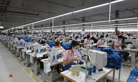 Lợi nhuận Dệt may Thành Công giảm mạnh