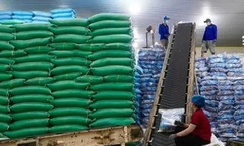 Việt Nam đón tin vui lớn từ Iraq