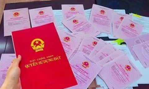 Giám đốc Sở Nông nghiệp và Môi trường lí giải nguyên nhân người dân làm sổ đỏ bị trả lại nhiều lần, nhưng “cò” dịch vụ làm nhanh hơn