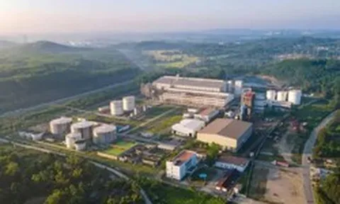 Bán xăng E10: Cơ hội hồi sinh các nhà máy ethanol 'đắp chiếu'