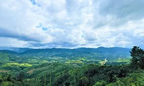 Quảng Ngãi: Cho phép khai thác hơn 40ha rừng để đầu tư khu đô thị Măng Đen