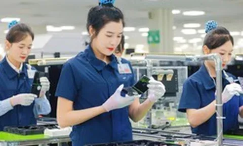 Người sử dụng lao động vi phạm về tiền lương; giờ làm việc; giờ nghỉ ngơi, xử phạt thế nào?