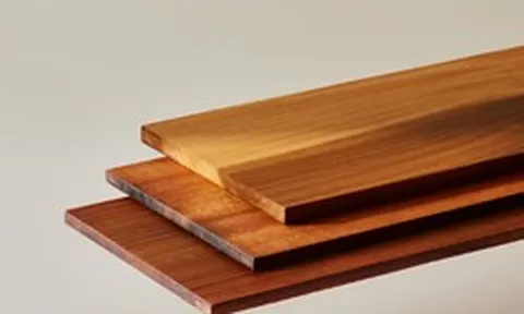 Phát minh vật liệu mới làm rung chuyển ngành xây dựng: Tạo ra gỗ siêu bền cao gấp 10 lần thép, nhẹ hơn gỗ truyền thống đến 6 lần