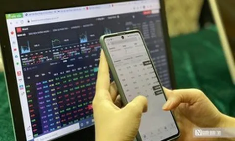 Nhà Đà Nẵng dồn gần nửa tài sản vào cổ phiếu, danh mục có HPG, MBB, GEX