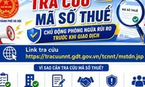 Hướng dẫn tra cứu mã số thuế