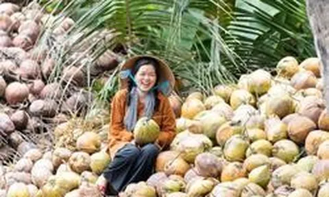 Bán dừa, nha đam, trái cây khắp thế giới, DN Việt thu hơn 8.200 tỷ đồng, lợi nhuận tăng 72% sau 6T2026