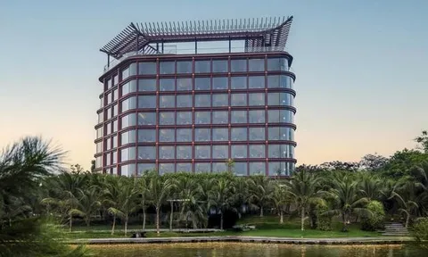Doanh thu 6 tháng năm 2026 của OCH đạt mức kỷ lục trong 20 năm