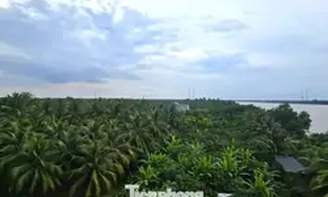 Xem xét trách nhiệm nguyên Phó Chủ tịch tỉnh Bến Tre cũ vì giao đất sai