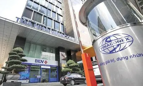 Dòng tiền kinh doanh của Vinaconex âm hơn 1.300 tỷ đồng