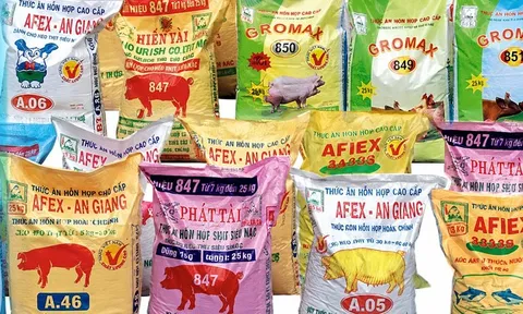 Doanh thu tài chính khởi sắc, Afiex tăng gần 40% lợi nhuận