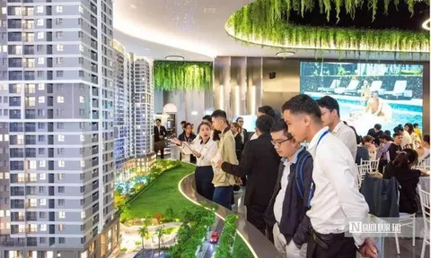 Rà soát, truy thu thuế với bác sĩ, luật sư, môi giới bất động sản