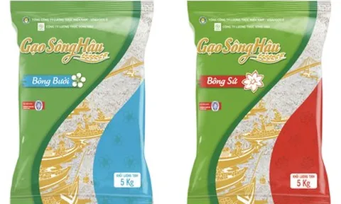 Lợi nhuận tăng, Vinafood II vẫn gánh hơn 3.000 tỷ đồng nợ vay