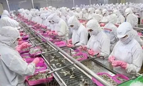 Xuất khẩu thủy sản có thể vượt 12 tỷ USD