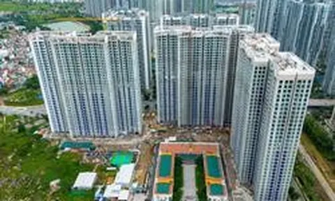 Sếp bất động sản nói thẳng tên nhiều chủ đầu tư lớn ở Hà Nội nhưng mức độ nhận diện ở TP.HCM thì lại không cao