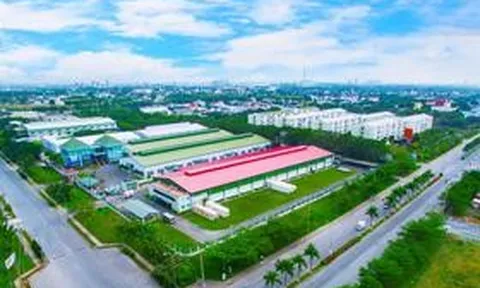 Long Hậu sắp chi hơn 105 tỷ đồng trả cổ tức tiền mặt