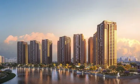 Loạt doanh nghiệp nhiều năm liên tục chậm công bố thông tin