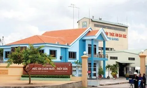 Afiex miễn nhiệm Phó Tổng Giám đốc, lên kế hoạch huy động 350 tỷ đồng