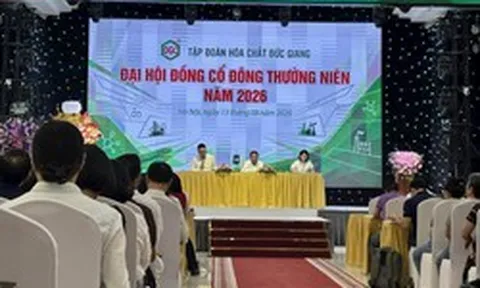 Chủ tịch Hóa chất Đức Giang (DGC): Giá cổ phiếu đã xuống thấp hơn nhiều so với giá trị thực, mong cổ đông chia sẻ cùng với công ty